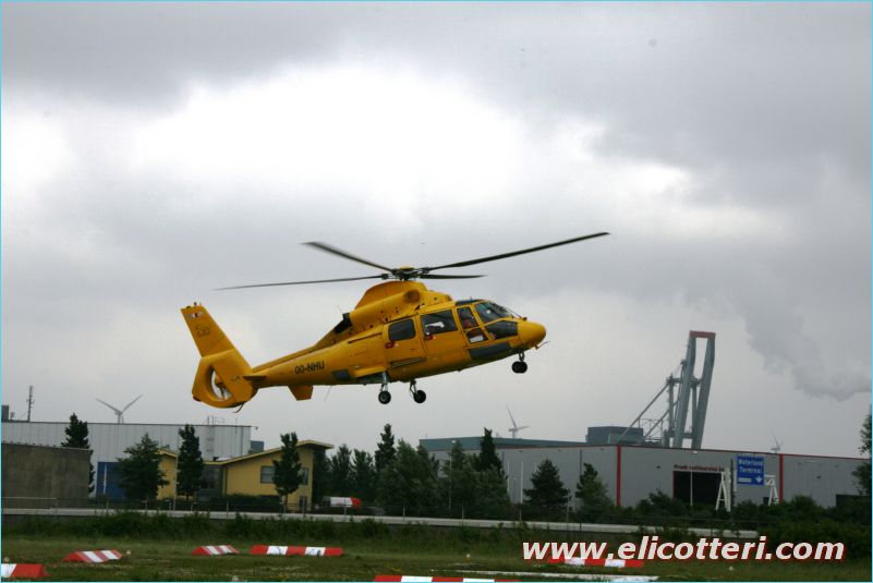 elifoto (138)